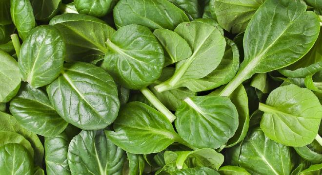 Spinach,leafy green vegetable