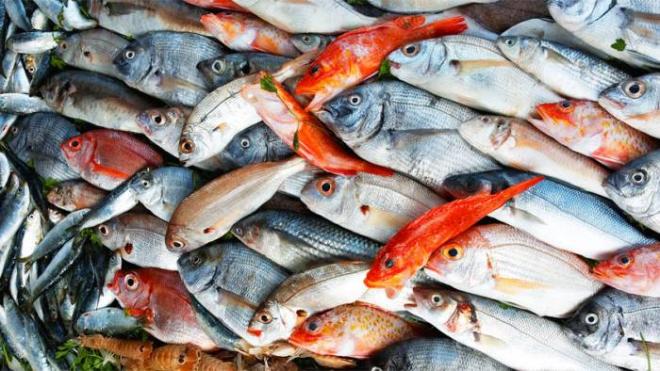 Pesce proveniente dalla Francia