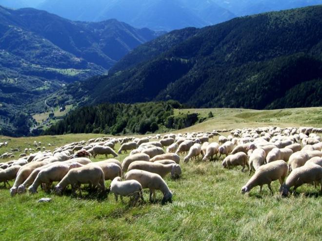 I cammini della Transumanza