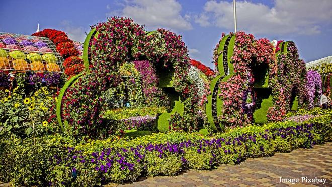 Dubai Miracle Garden