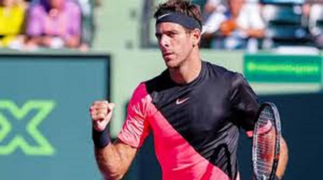 Juan Martin del Potro