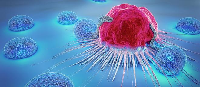 Terapia contro il cancro