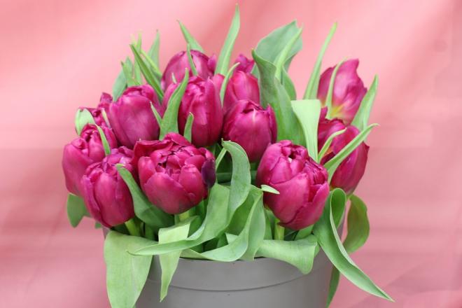 Il coraggio delle donne