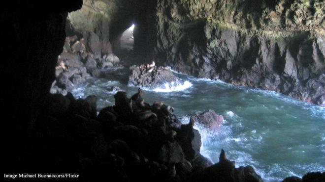 Sea Lion Caves - 91560 Highway 101, Florence, Oregon, USA