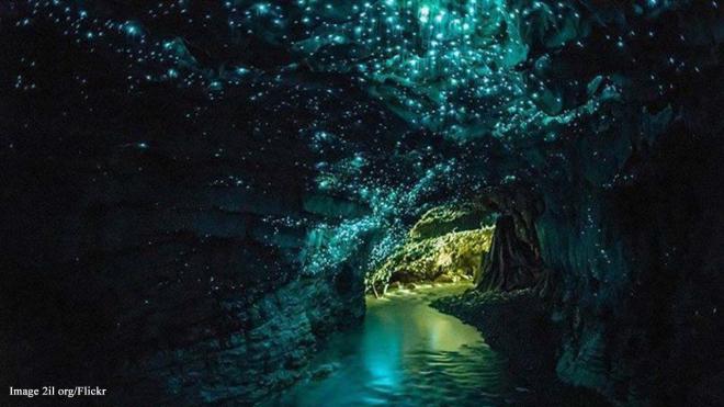Waitomo Glowworm Caves - 39 Waitomo Caves Road, Waitomo, New Zealand