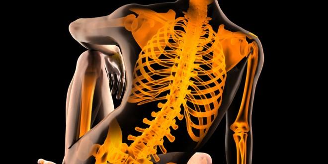 Rafforza la massa ossea