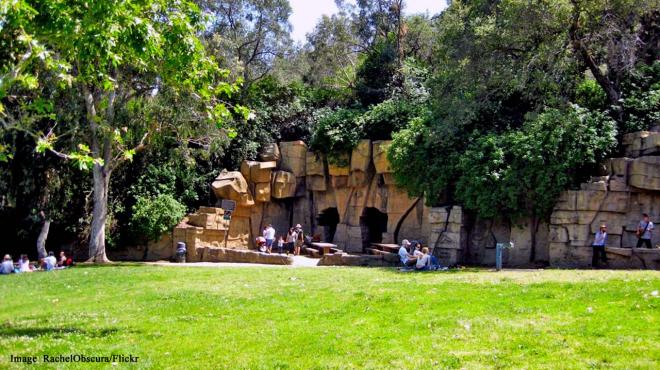 Old Zoo Picnic Area - Griffith Park Drive, Los Angeles, California