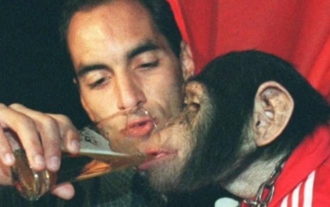 Tomando cerveja com macaco