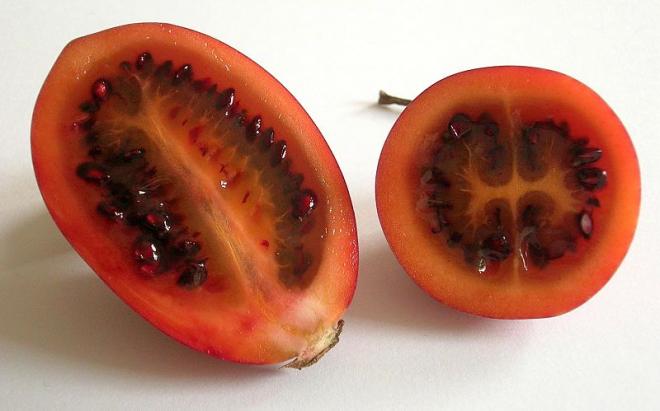 Tamarillo (Tomate de &Aacute;rvore)