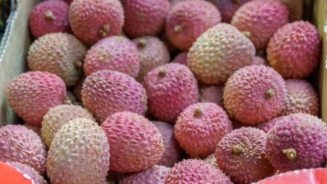 Lichia (Litchi)