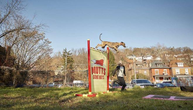 Il cane che salta pi&ugrave; in alto
