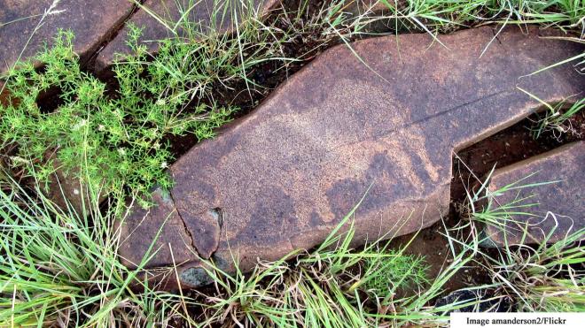 Wildebeest Kuil Rock Art Centre - Barkly West Road Barkley West South Africa