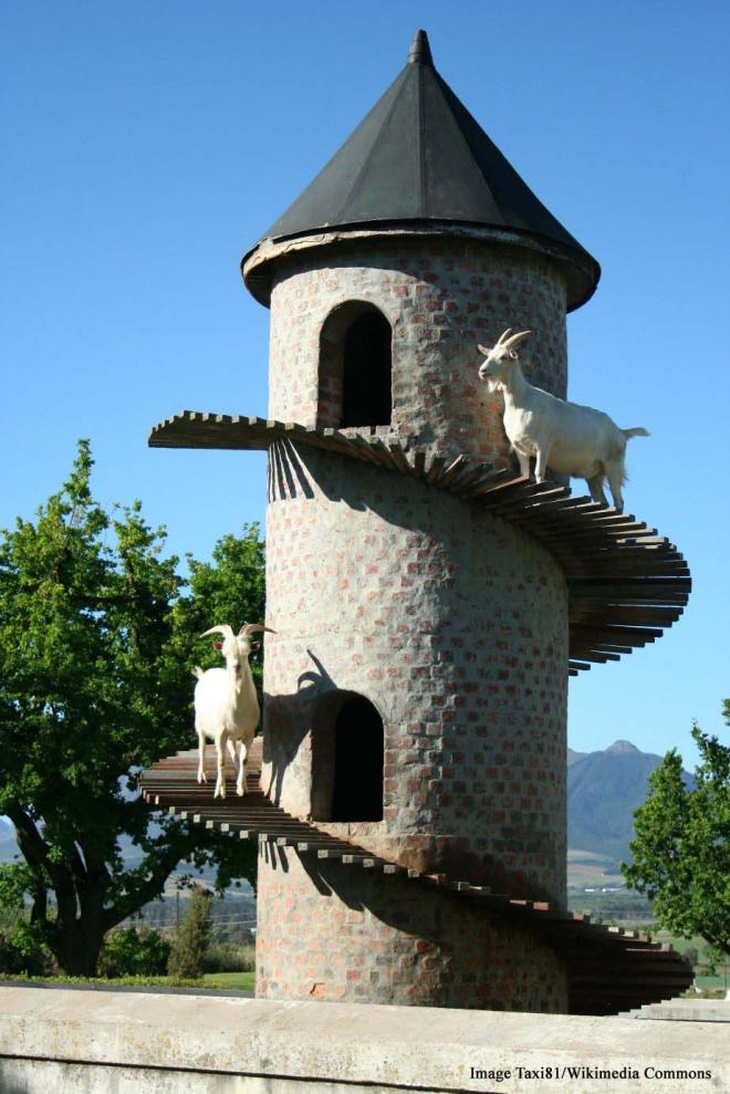 Goat Tower of Fairview - Fairview Cheese & Wine Farm, Paarl, South Africa