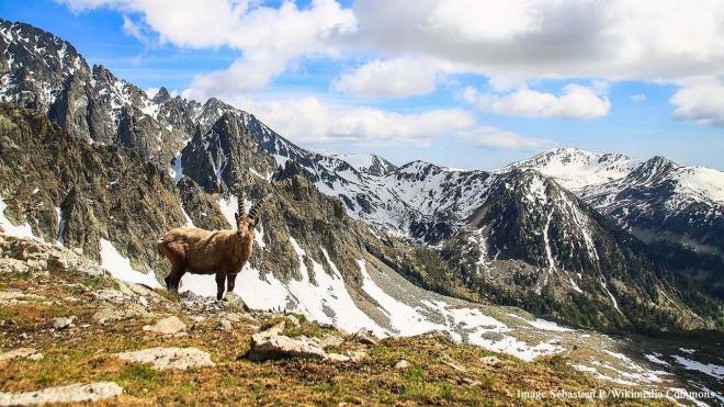 The scenery of the Vall&eacute;e des Merveilles