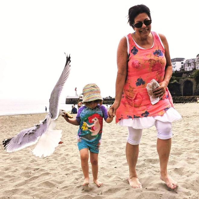 L'attaque de l'oiseau