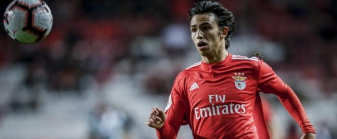 Manchester City va s'offrir Joao Felix