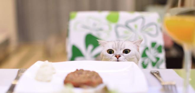 Des repas diff&eacute;rents