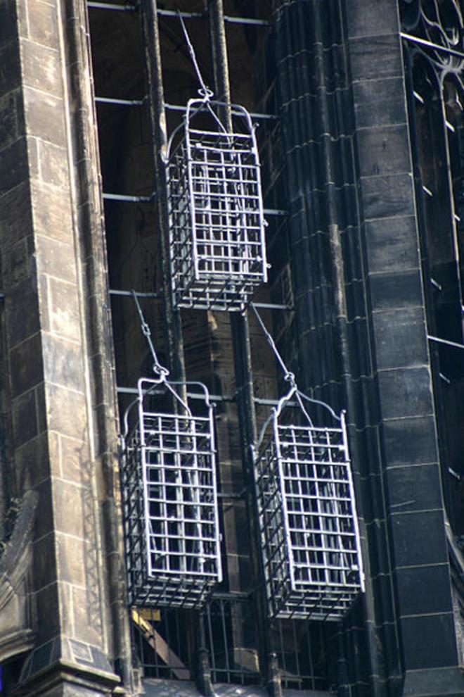 Cath&eacute;drale de M&uuml;nster et sa cage