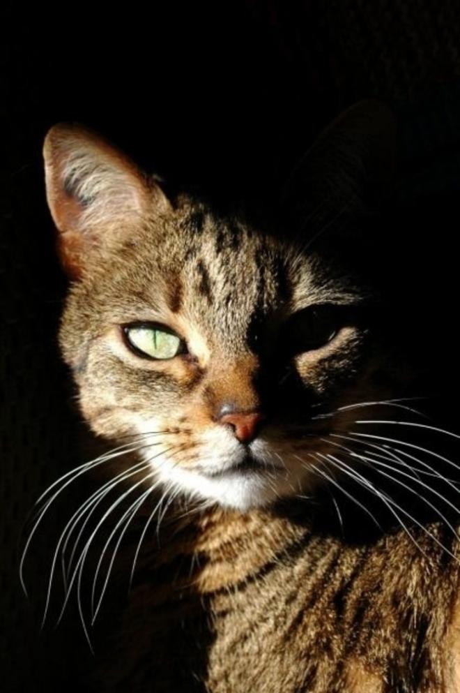 Il fixe pendant de longues minutes