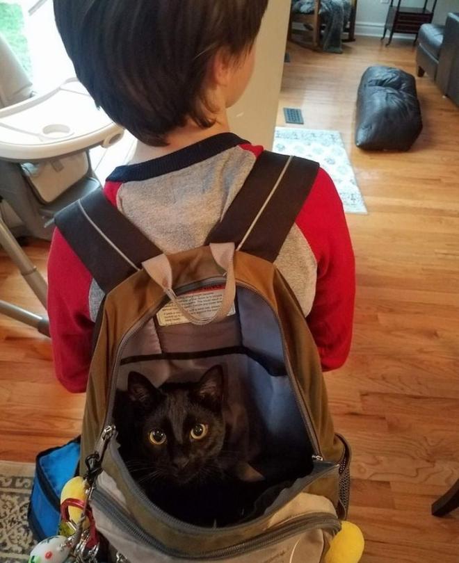 La fugue avort&eacute;e