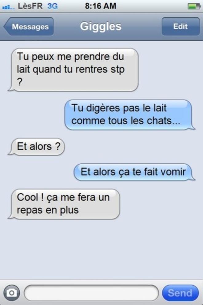 Quand le chat va vomir