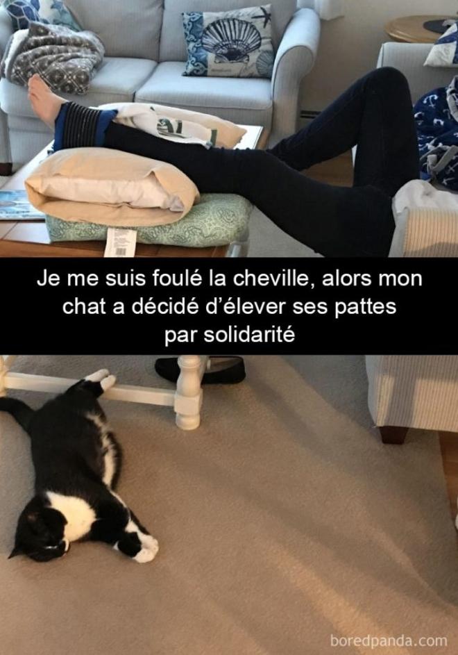 Le kin&eacute;sith&eacute;rapeute