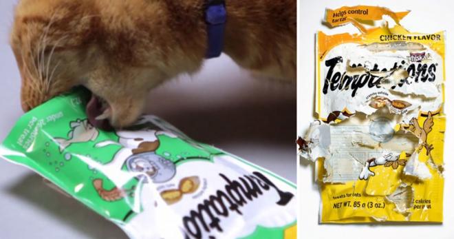 Ne pas stocker les aliments hors des sachets adapt&eacute;s