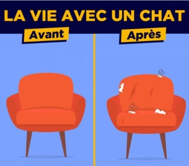 Le fauteuil