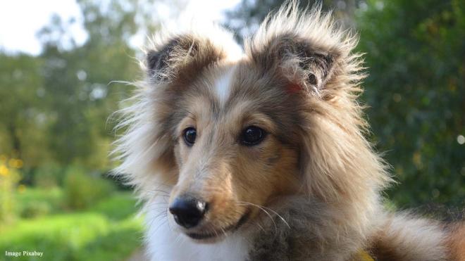 Can you resist the expression?