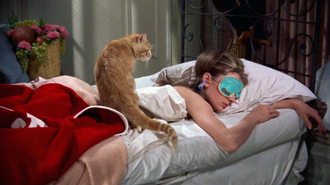 Il dort avec son ma&icirc;tre/sa ma&icirc;tresse