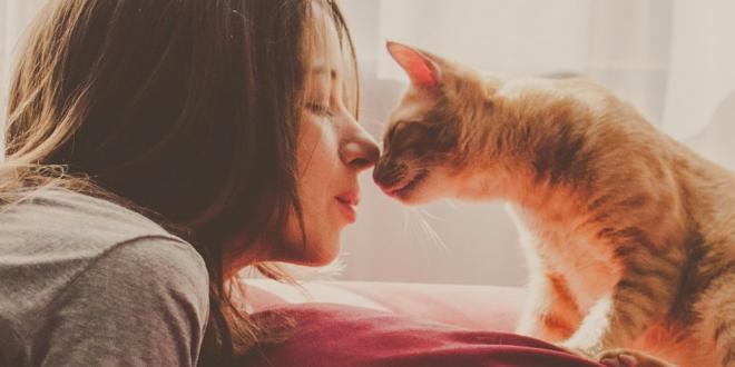 Il se frotte contre son ma&icirc;tre/sa ma&icirc;tresse