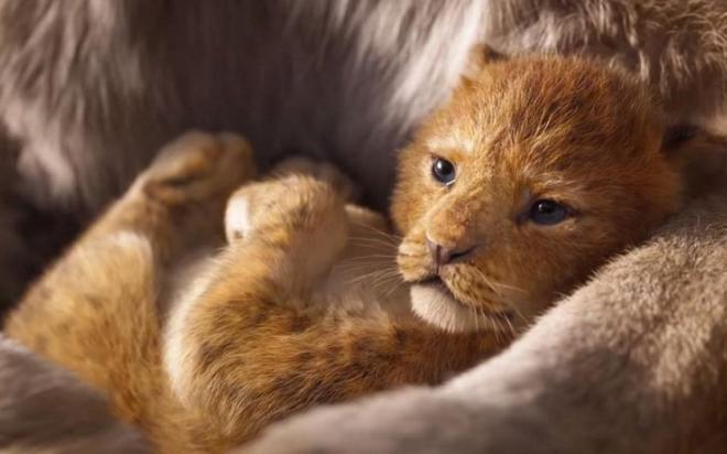 'O Rei Le&atilde;o' - 18 de julho 