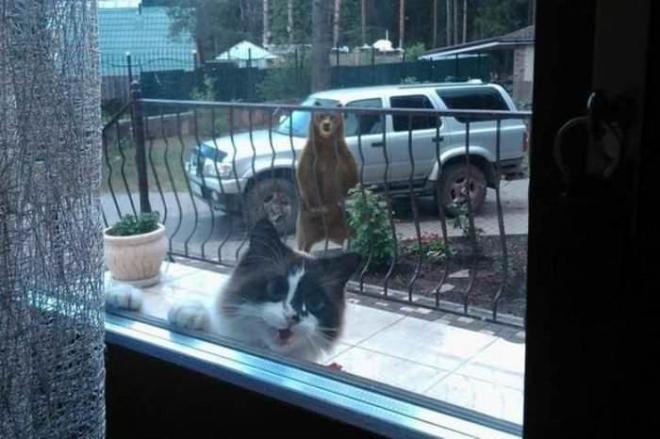 Quand tu sens venir le danger