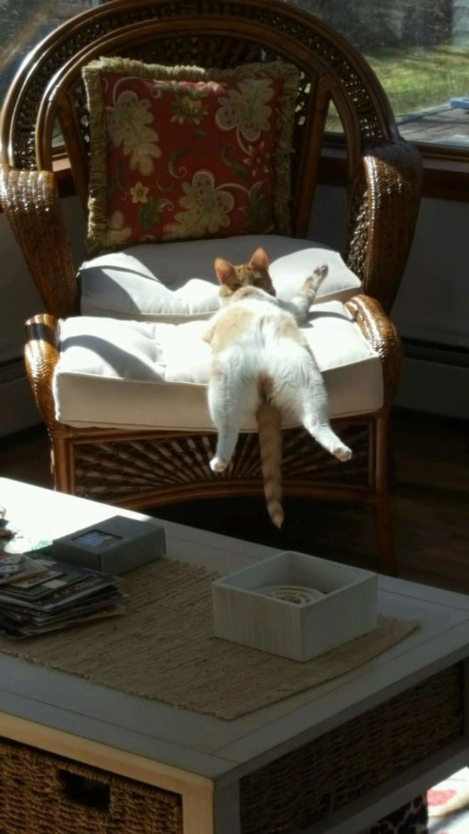 Quand t'as un peu trop mang&eacute;