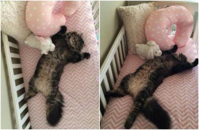 Quand tu te trompes de chambre