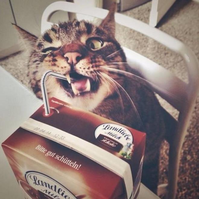 Quand tu veux boire &agrave; la paille