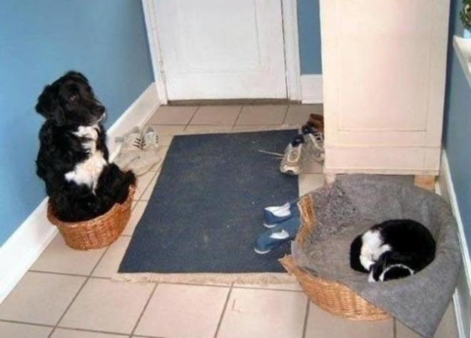 Quand tu changes de panier