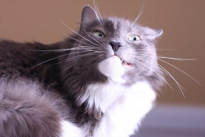 Quand tu fais ton plus beau sourire