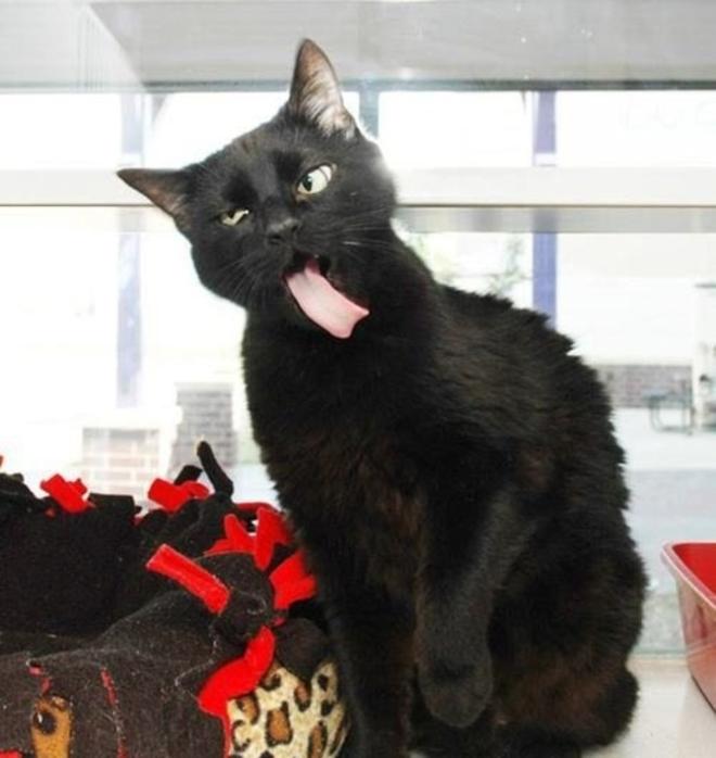 Quand tu fais une grimace