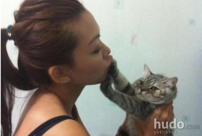 Le refus cat&eacute;gorique