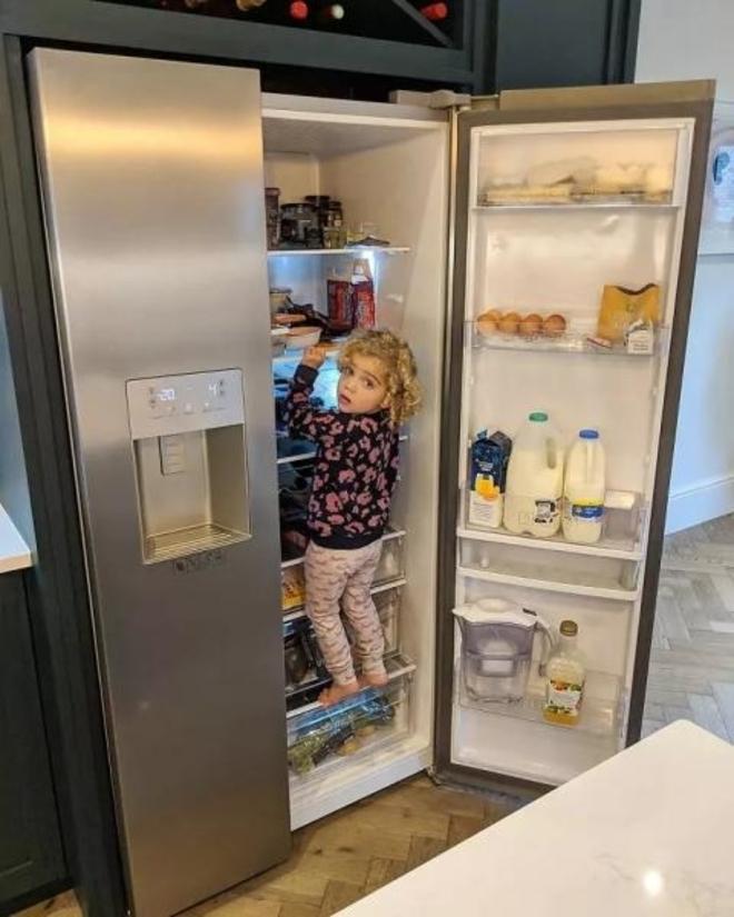 Le r&eacute;frig&eacute;rateur