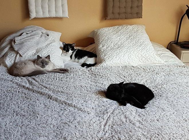 Parce que vous lui tenez bien chaud