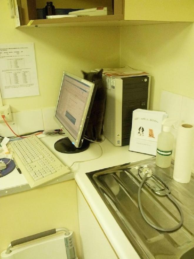 L'&eacute;cran d'ordinateur