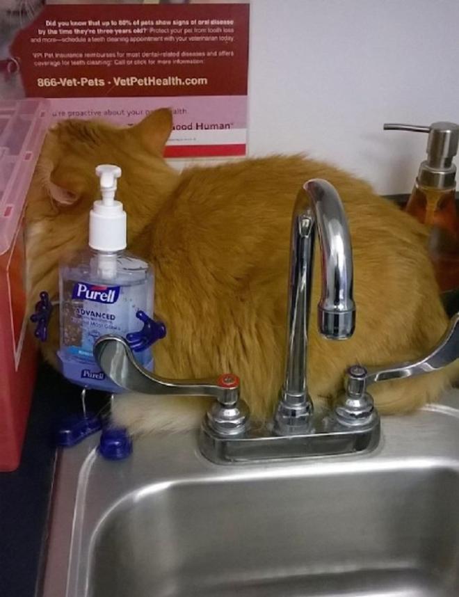 Derri&egrave;re l'&eacute;vier