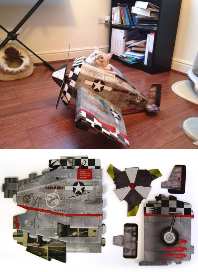 V&eacute;hicule: l'avion