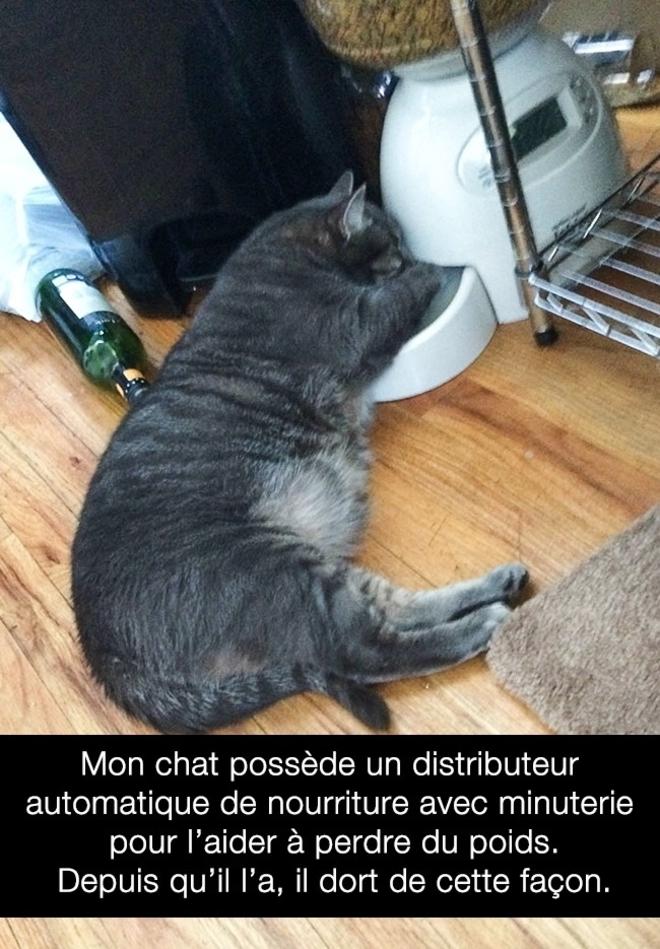 La gamelle automatique
