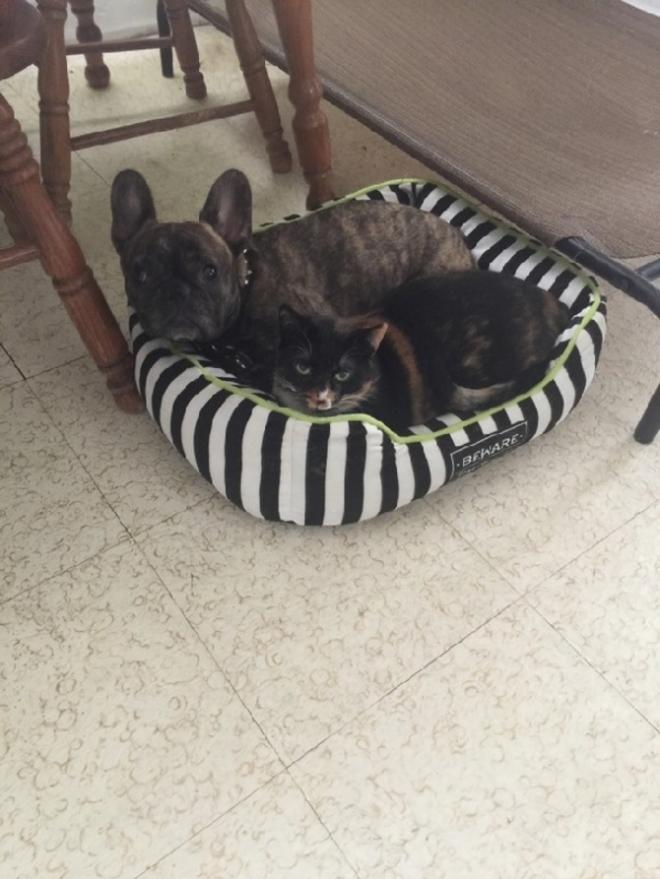 Quand tu partages le lit