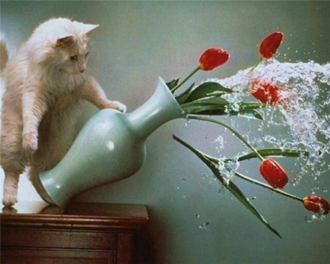 Ne pas user de la force