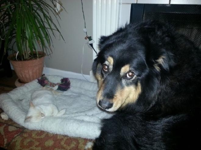 Tu cherches de l'aide