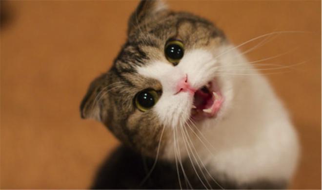 Cr&eacute;er des sons